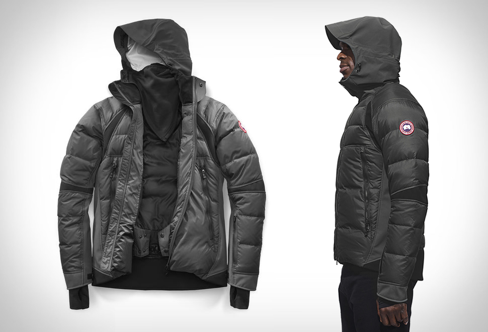 canada goose hybridge canada goose hybridge