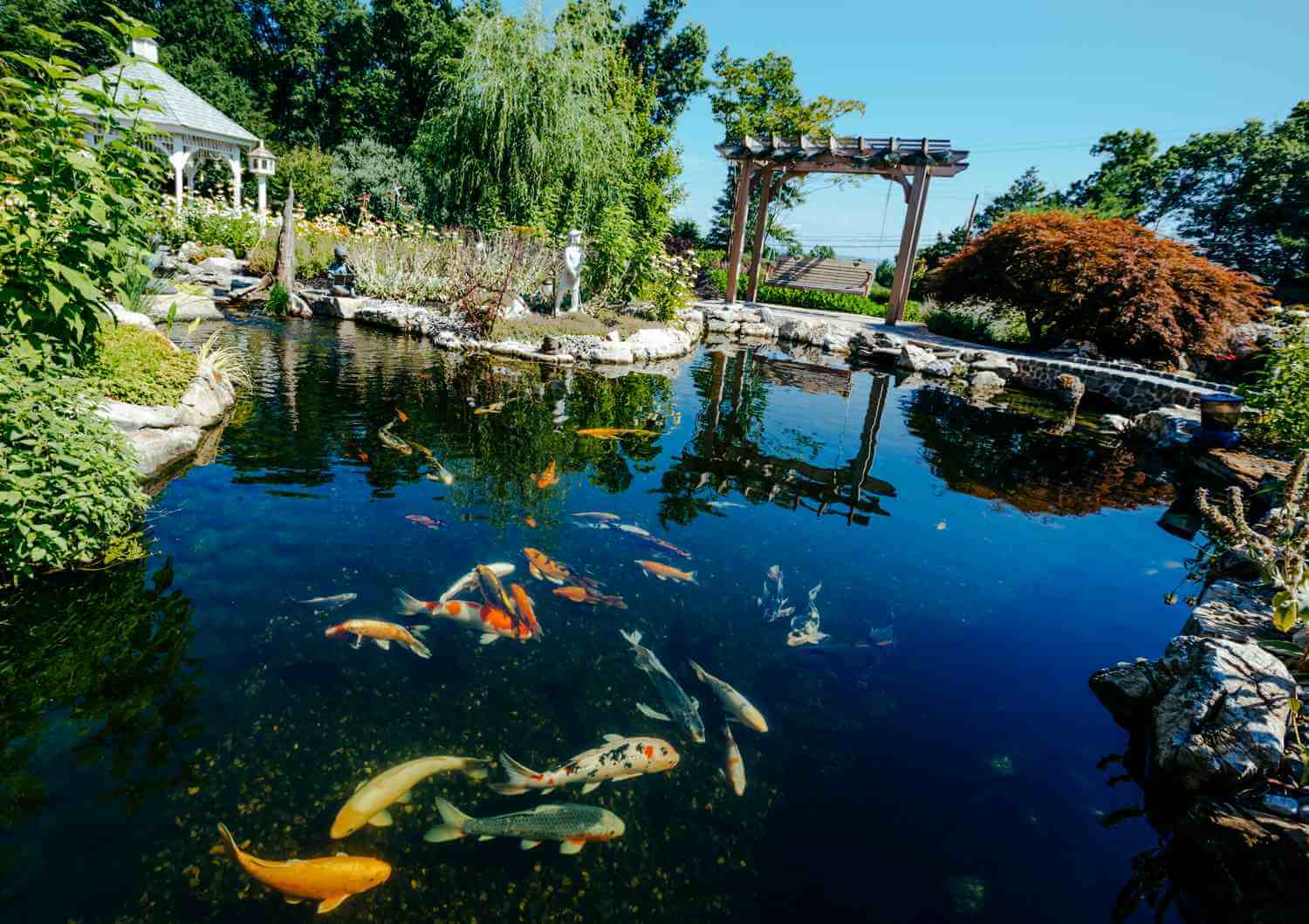 Fitzs Fish Ponds - Fish Pond Services NJ