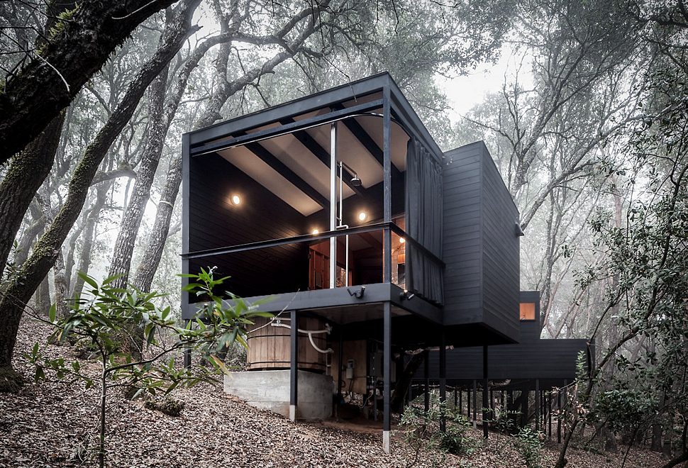 Forest House | forest house Forest House | forest house